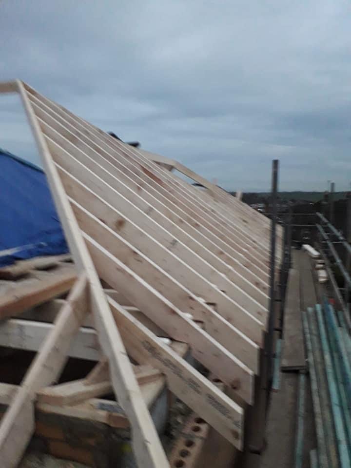 Run of rafters seated on the wall plate at even spacing